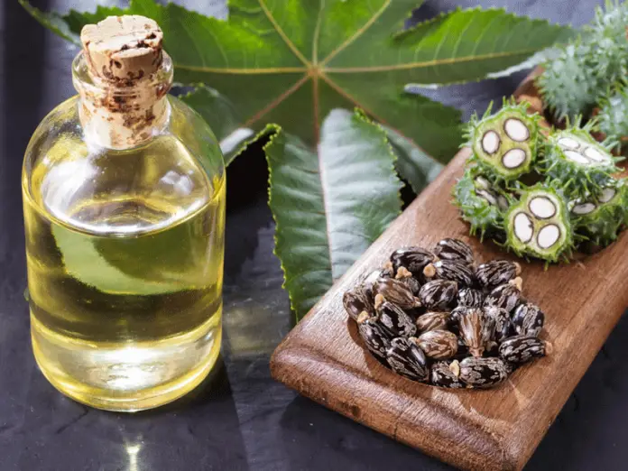Organic Castor Oil for Hair Organic Castor Oil for Hair