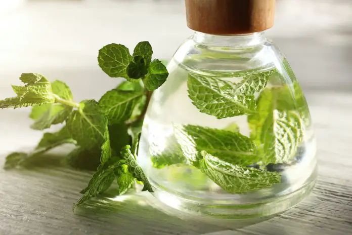 How to use Peppermint Oil for Hair Growth
